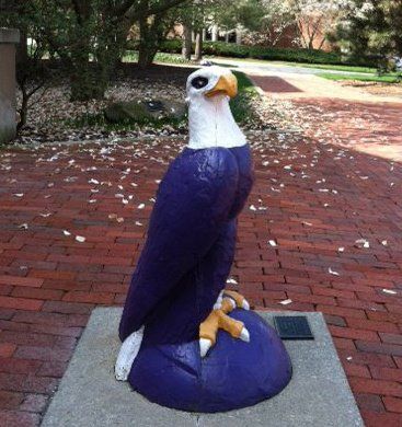 Tuffy standing strong! Ohio University Athens Aesthetic, Ashland University Ohio, Ohio State University Campus, Southwestern University Georgetown, College Nursing, Sweet Memories, School Spirit, Eagles, Nursing