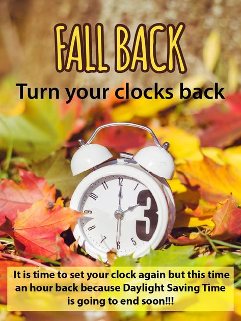 Time to fall back! It is time to set your clock again but this time an hour back because Daylight Saving Time is going to end soon. Use this chance to get connected with loved ones by sending them this ecard as a reminder. Daylight Savings Fall Back, Fall Back Time, Daylight Saving Time Ends, Tweety Bird Quotes, Clocks Go Back, Daylight Saving Time, Daylight Saving, Clocks Back, Bird Quotes