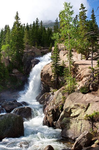 Rocky Mountain National Park Rocky Mountains Colorado, Colorado Rocky Mountains, Trip Planner, Costa Brava, Rocky Mountain National, Beautiful Waterfalls, Rocky Mountain National Park, Alam Yang Indah, Pine Trees