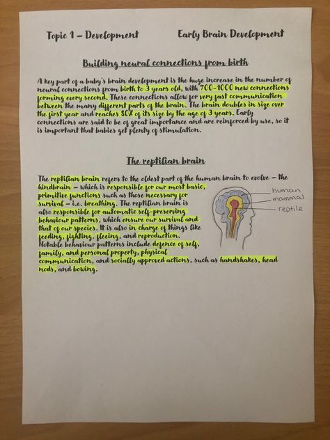 GCSE psychology revison. Topic 1 - Development Early Brain Development -> Building neural connections from birth. -> The reptilian brain Early Brain Development, Psychology Gcse, Gcse Psychology, Psychology Revision, Reptilian Brain, Neural Connections, Instagram Background, Brain Development, Psych