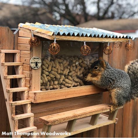 Squirrel Feeder Diy, Squirrel Appreciation Day, Build A Picnic Table, Squirrel House, Squirrel Home, Squirrel Feeders, Squirrel Feeder, Diy Bird Feeder, Diy Birds