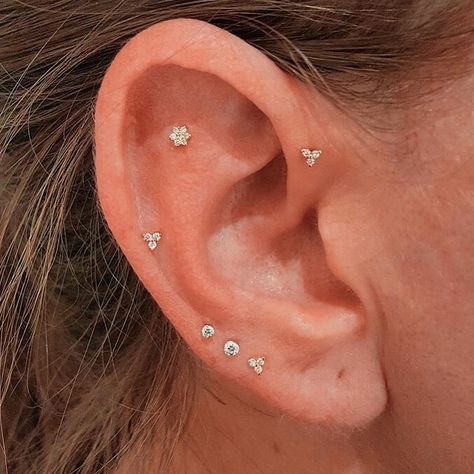 EAR CURATION on Instagram: “Flat, forward helix, mid-helix, and triple lobe piercings 💖 Helix pierced by @cx.jon with @maria_tash jewellery✨ // image via @maria_tash &…” Mid Helix Piercing, Triple Lobe Piercing, Minimalist Ear Piercings, Helix Piercings, Cool Ear Piercings, Pretty Ear Piercings, Cute Ear Piercings, Forward Helix, Navel Jewelry