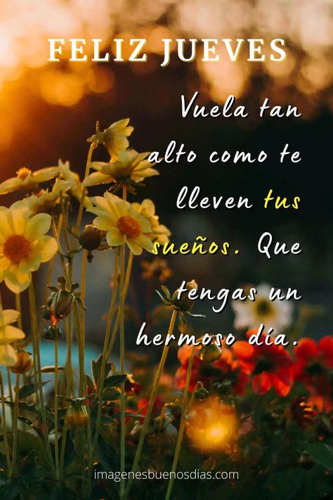 +90 Imágenes Feliz Jueves » Imágenes de Buenos Días Weekend Greetings, Daily Life Quotes, Blessing Words, Morning Thoughts, Night Messages, Spanish Quotes, Morning Greeting, Good Morning