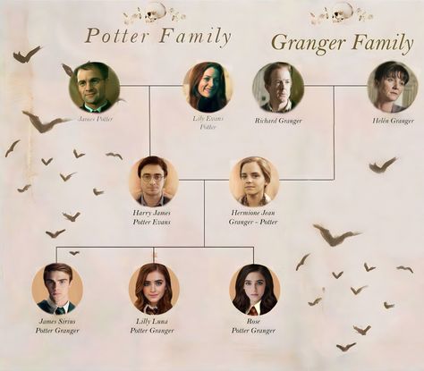 Harmony Harry Potter, Sims 4 Family, Harry And Hermione, Maggie Smith, Harry James, Harry James Potter, Harry Potter 2, Lily Evans, Harry Potter Aesthetic