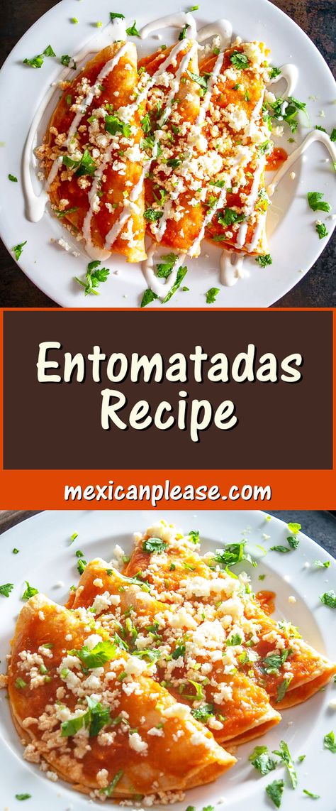 True Mexican Recipes, Latino Dinner Ideas, Mexican Struggle Meals, Fancy Mexican Dinner, Mexican Dinner Recipes Authentic, Me Ican Food Ideas, Hispanic Recipes Authentic, Enchiladas Entomatadas, Mexican Authentic Recipes