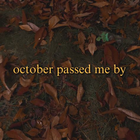 october passed me by trend October Passed Me By Lyrics, October Quotes Aesthetic, Autumn Lyrics, Niya Core, October Trends, October Quotes, Reflective Journal, Get Me Out Of Here, October Crafts