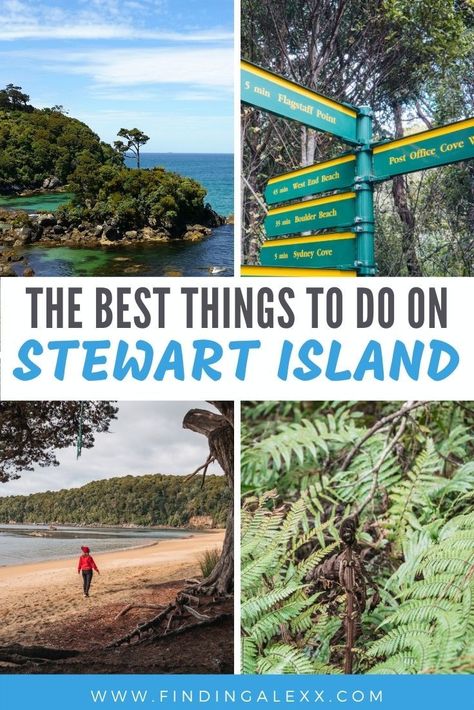 Looking for things to do on Stewart Island? New Zealand's third main island is packed with adventures for hikers, bird watchers and intrepid explorers. Spot a kiwi, catch a glimpse of the aurora australis, hike a Great Walk and wander along golden beaches. There are plenty of things to do no matter your budget or travel style! #newzealand #newzealandtravel #nztravel #aotearoa #stewartisland #adventure #travelling #domestictravel Stewart Island, Stewart Island New Zealand, New Zealand North Island Itinerary, South Island New Zealand Road Trip, New Zealand North Island Road Trip, Nz North Island Roadtrip, Nz Travel, New Zealand Itinerary, New Zealand Adventure