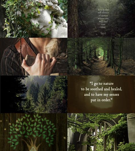 Oath of the Ancients Mood Board Dryad Aesthetic Male, Druid Astethic, Oath Of Ancients Paladin Aesthetic, Druid Dnd Aesthetic, Archfey Aesthetic, Oath Of Ancients Paladin, Oath Of The Ancients Paladin, Marvel Rings, Druid Aesthetic