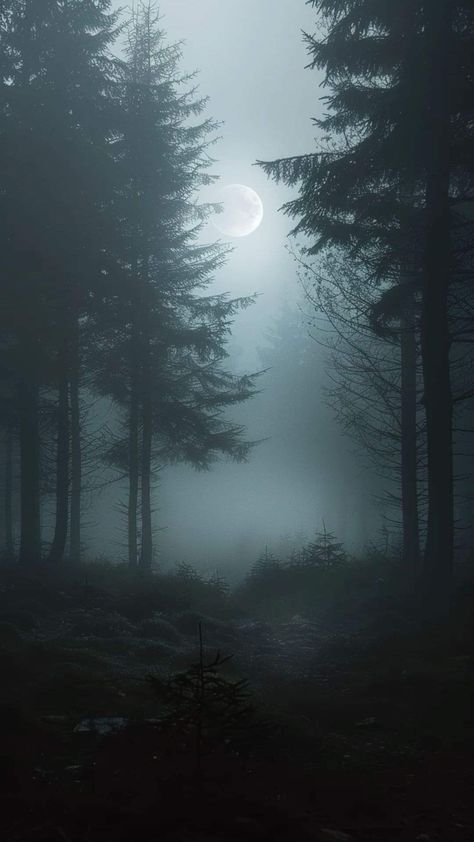 Desolate Forest, Dark Naturalism Aesthetic, Green Academia Aesthetic, Green Academia, Dark Naturalism, Dark Forest Aesthetic, Best Nature Images, Rain Wallpapers, Iphone Wallpaper Landscape