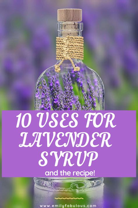 Lavendar Syrup Recipes, Lavender Simple Syrup Uses, Things To Do With Fresh Lavender, Lavender Syrup Drink Recipes, Uses For Lavender Syrup, Lavender Syrup Recipe For Coffee, Lavender Syrup Recipes, Lavender Tea Recipe, Recipes With Lavender