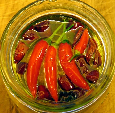 Hot Pepper Oil Recipe, Infused Oil Recipes, How To Make Chilli, Hot Pepper Recipes, Chili Oil Recipe, Chilli Plant, Chilli Oil, Oil Making, Stick Insect