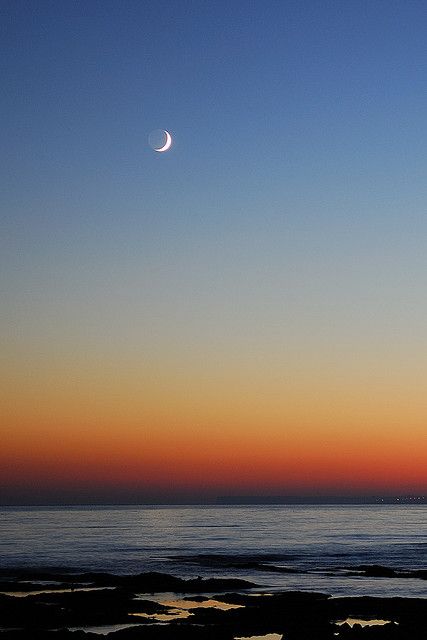 Star Widget, Beach Pizza, Daughter Of The Moon, Junya Ishigami, Moon Sunset, Album Artwork Cover Art, Sky Images, Ocean Surf, Good Night Moon