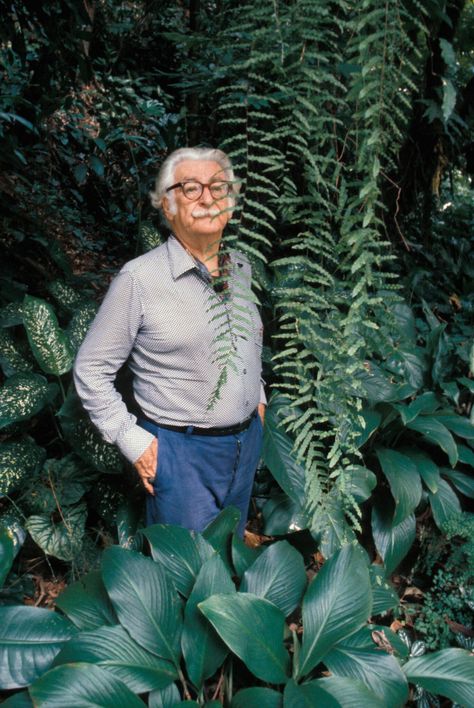 Archive: Roberto Burle Marx - Kinfolk Indoor Garden House, Foliage Arrangements, Homestuck Characters, Burle Marx, Inside Art, European Garden, Future Photos, Nature Artists, Garden Designer