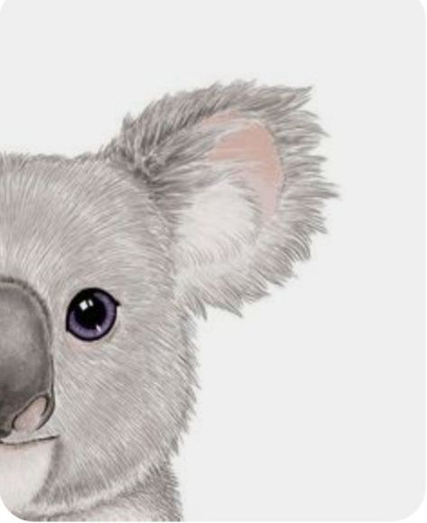 Koala Painting, Koala Tattoo, Koala Drawing, Koala Art, Koala Nursery, Baby Room Prints, Baby Zimmer, Baby Koala, Baby Room Art