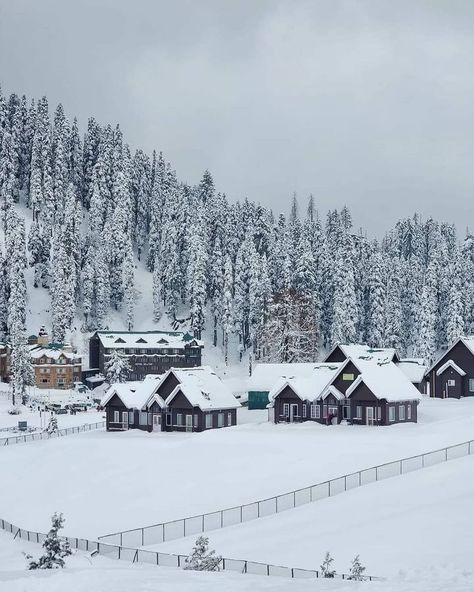 Himachal Pictures (@himachal_pictures) • Instagram photos and videos Snowfall In Kashmir, Jammu And Kashmir Beauty, Kashmir Snowfall, Sonmarg Kashmir, Beauty Of Kashmir, Kashmir Trip, Heavy Snowfall, Jammu Kashmir, Kashmir India