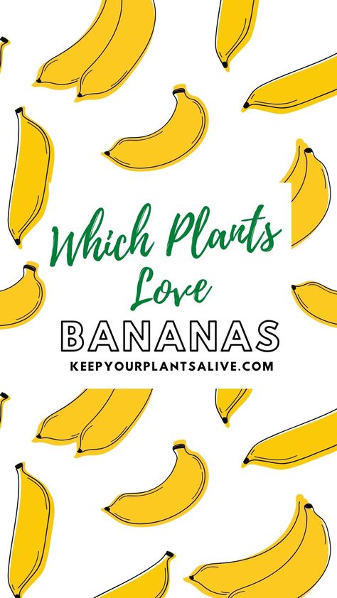 Using Bananas In The Garden, How To Use Banana Peels For Plants, Banana Peels In Water For Plants, Banana For Plants, Banana Fertilizer Plants, Banana Fertilizer For Plants, Banana Peels In The Garden, Banana Peel Fertilizer For Orchids, Banana Skin Water For Plants