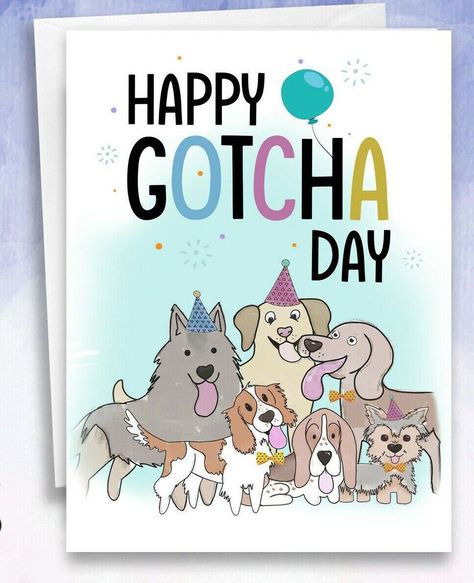 Gotcha Day Dog, Adoption Anniversary, Happy Gotcha Day, Rescue Pets, Dog Happy, Gotcha Day, New Dog, Dog Cards, Anniversary Cards