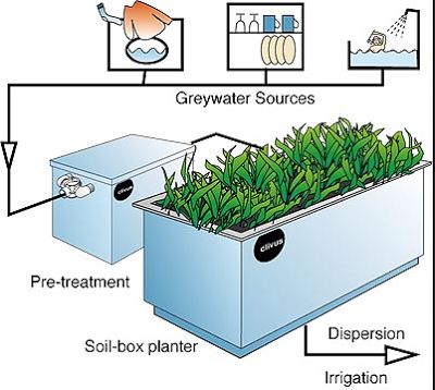 Graywater — Blog — Better Farm Sustainable Ideas, Grey Water System, Water Purification System, Casa Container, Green Technology, Water Sources, Earthship, Water Purification, Urban Farming