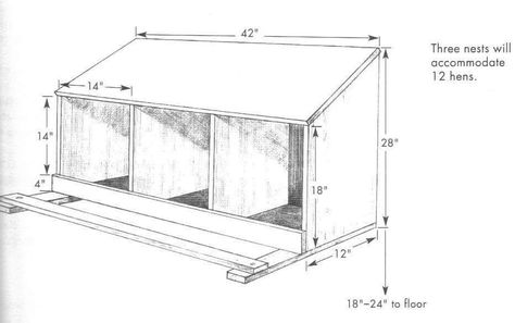 Nest box diagram Reban Ayam, Chicken Roost, Chicken Nesting Boxes, Chicken Pen, Diy Chicken Coop Plans, Chicken Tractor, Coop Design, Chicken Coop Designs, Coop Plans