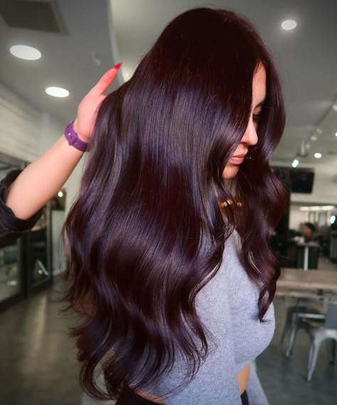 Cherry Cola Hair Color Trend Is Back To Grab The Spotlight Again Dark Cherry Hair Color, Dark Cherry Hair, Cherry Cola Hair Color, Purple Brown Hair, Cherry Cola Hair, Black Cherry Hair, Cherry Hair Colors, Cherry Red Hair, Plum Hair