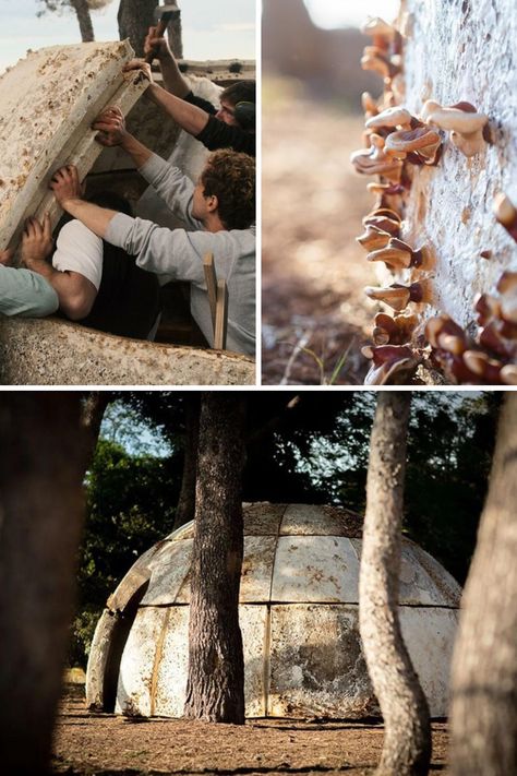 Côme Di Meglio's MycoTemple is an awe-inspiring living sanctuary, a biodegradable mycelium dome that blends art, architecture, and spirituality. Its immersive sensory experience and gradual biodegradation convey the profound connection between humanity, nature, and innovation. Learn More! Sensory Experience Architecture, Forest Pavilion Architecture, Connection Between Buildings, Mycelium Architecture, Nature Architecture Concept, Human Composting, Biomimicry Architecture, Architecture Technology, Natural Form Art