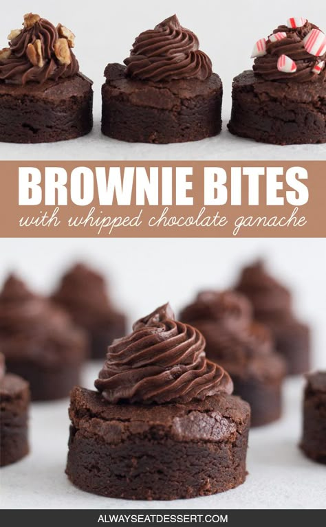 Homemade brownie bites topped with whipped chocolate ganache are a crowd-pleasing dessert for any party! These elevated mini brownies are baked from scratch and taste 10,000 times better than store bought brownie bites. Sprinkle them with extra toppings - like crushed peppermint candy canes or chopped pecans - for an easy and customizable chocolate dessert. #browniebites #chocolatebrownies #chocolate #chocolateganache #minidesserts Mini Chocolate Desserts, Brownie Bites Recipe, Whipped Chocolate Ganache, Homemade Brownie, Crushed Peppermint, Cookie Cups Recipe, Mini Brownies, Easy Chocolate Desserts, Fudgy Brownie