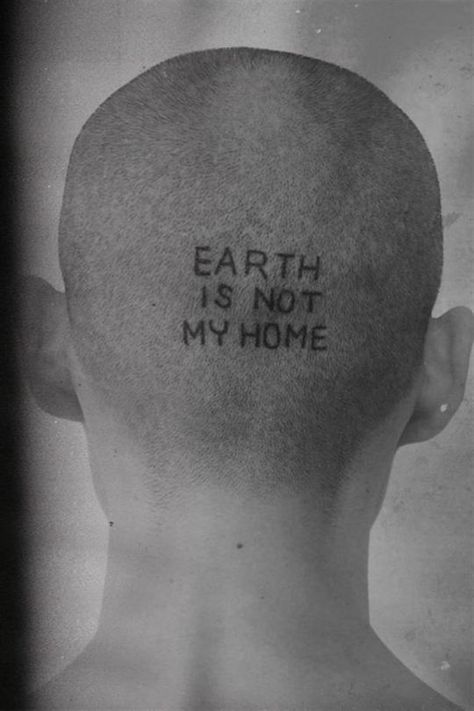 Jean Chang (Taiwanese, b. 1993, Taiwan, based London, England) - Earth Is Not My Home Head Tattoo Photography Buzzcut Season, Visual Photography, Just Thinking About You, Tattoo Photography, Animals And Plants, Head Tattoos, Life On Earth, Golden Dog, The Visitors