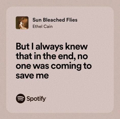 Lyrics Ethel Cain, Me As Lyrics, Ethel Cain Quotes, Meaningful Song Lyrics Quotes, My Lyrics, Chaotic Quotes, Ethel Cain Lyrics, Sun Bleached Flies, Lyric Aesthetic