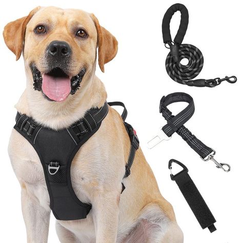 Kindacoool Dog Harness, Front Lead No Pull Dog Harness, Reflective Adjustable Soft Padded Vest with 5FT Dog Leash, Dog Seat Belt and Storage Strap, Vest Set for Small Medium Large Dogs Dog Car Harness, Dog Belt, No Pull Dog Harness, Car Harness, Dog Equipment, Dog Gadgets, Dogs Black, Dog Seat Belt, Harness Dog