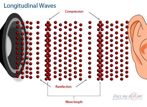 Physics Help, Physics 101, Ultrasound Physics, Sound Physics, Sound Experiments, Chemistry 101, Longitudinal Wave, Physical Science Activities, Pass My Exams