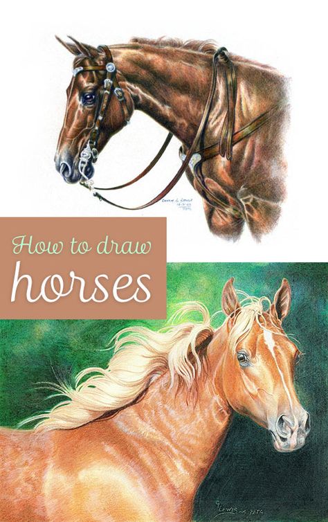 Drawing Horses How To Draw Horses, Horse Drawing Tutorial, Drawing Horses, Horse Art Drawing, Horse Sketch, Pencil Drawing Tutorials, Horse Drawing, Horse Drawings, Creature Drawings