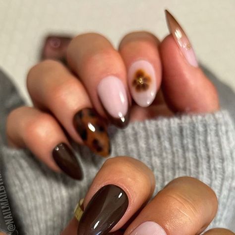 REUSABLE PRESS ON NAILS on Instagram: "REED🏷️ tortie mismatch set 🍁 the cutest!! Link in bio to shop💸   Inspo @staceydee.nailartist 🤎🤎🤎" Nails Trendy Short, Fall Simple Nails, Tortie Nails, Mismatched Nails, Tortishell Nails Design, Brown Nail Art, Bee Nails, Pink Tip Nails, Minimal Nails Art