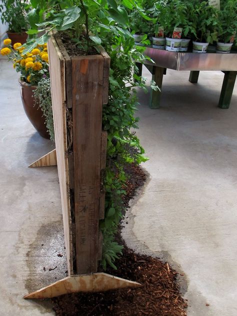 BHG Pallet Garden Feet Vertical Pallet Garden, Garden Screen, Building Raised Garden Beds, Modern People, Building A Raised Garden, Herb Garden Design, Vertical Herb Garden, Vertical Farming, Garden Steps