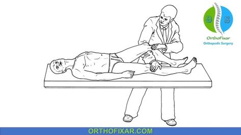 Anterior Drawer Test of the Knee Femoral Nerve, Hip Mobility Exercises, Anterior Cruciate Ligament, Spine Pain, Ligament Tear, Lumbar Spine, Acl Tear, Ligament Injury, Cruciate Ligament