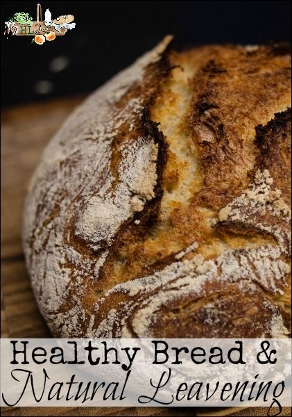 healthy-bread-and-natural-leavening-l-at-war-with-grains-to-peaceful-tummy-l-homestead-lady-com Probiotic Recipes, Yeast Cleanse, Leavened Bread, Fermented Bread, Yeast Free Breads, Natural Yeast, Yeast Recipes, Healthy Bread Recipes, Knead Bread Recipe