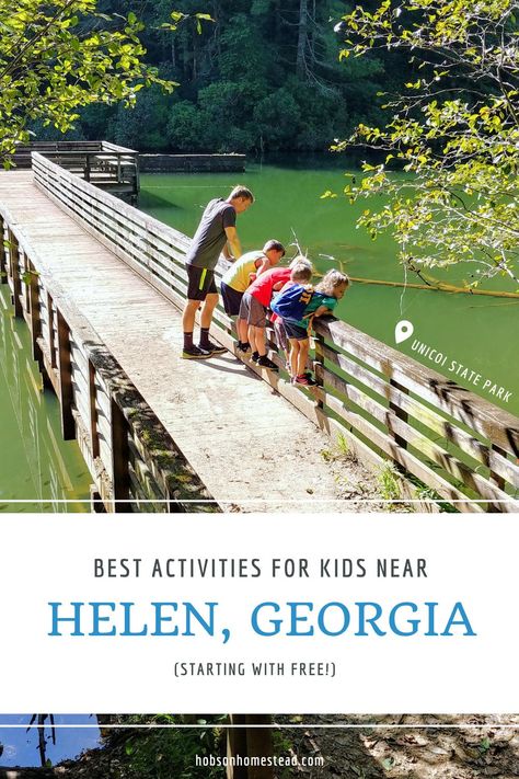 Whether you're traveling to Helen, Georgia, from near or far, there are plenty of things to do with kids near this quaint Bavarian town. Though adults trips to Helen may focus on Oktoberfest and local breweries, wineries and restaurants, there are a plethora of activities for family trips as well. Check out our list of things to do with kids near Helen that ranges as much in cost (starting with free) as it does in activity level. Helen Georgia, Helen Ga, Visit Georgia, Chattahoochee River, Georgia Vacation, Farm Visit, Georgia Travel, Things To Do With Kids, Kids Vacation