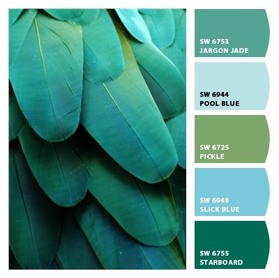 Bathroom Paint Colors Sherwin Williams, Jade Paint, Paint Colors Sherwin Williams, Sherwin Williams Sea Salt, Sherwin Williams Green, Bathroom Paint, Bathroom Paint Colors, Green Paint Colors, Sherwin Williams Paint Colors