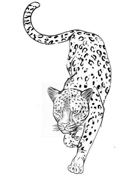 Leopard Coloring Pages | Free Printable Leopard Rib Tattoo, Jaguar Tattoo Stencil, Leopard Tattoo Stencil, Fine Line Leopard Tattoo, Jaguar Stencil, Patch Work Tattoos Women, Jaguar Tattoo For Women, Leapord Tattoo Ideas, Leopard Tattoo Design For Women