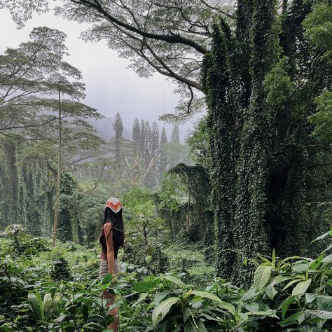 Summer Jungle 🌿 Jungle Life Aesthetic, Jungle Outfit, Jungle Aesthetic, Aesthetic Hawaii, Jungle Life, Moving To Hawaii, Jungle Illustration, Jungle Vibes, Currently Reading