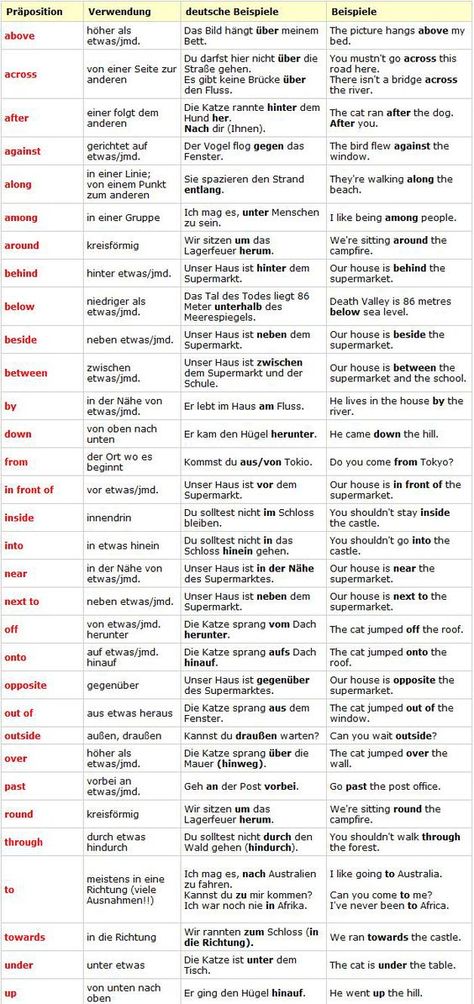 German Verbs, German Grammar, Cat Run, German Language Learning, Learn German, English News, German Language, Grammar, Word Search Puzzle