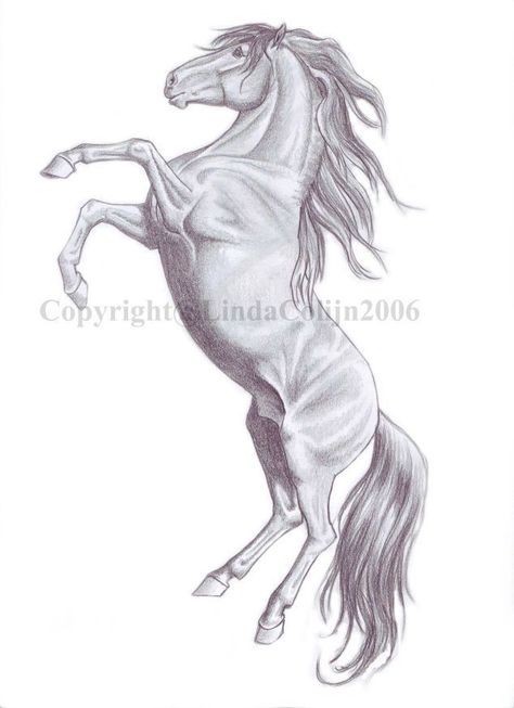 Pencil Drawings Of Horses, Horse Drawing Pencil, Horses Rearing, Drawings Of Horses, Horse Pencil Drawing, Horse Tattoos, Drawing Horse, Horse Rearing, Horse Art Drawing