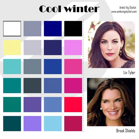 Cool Winter Colour Palette, Cool True Winter Color Palette, Cool Winter Makeup Palette, Cool Winter Color Palette Makeup, Cool Winter Outfits Palette, Cool Winter Color Palette Outfits, Cool Winter Palette, Winter Pallette, Cool Winter Colors