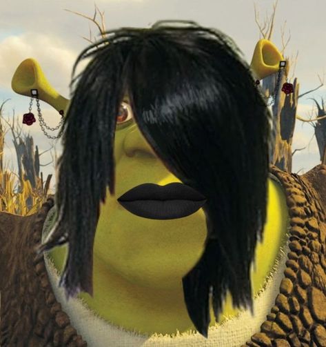 Material Gworl Shrek, Hot Shrek Fan Art, Emo Pfp Funny, Shrek Cursed, Shrek Pfp, Cursed Image Pfp, Emo Profile Pictures, Shrek Core, Cursed Shrek