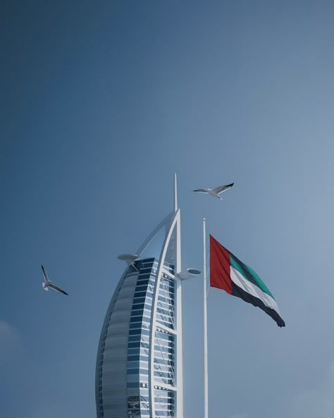 Uae Flag Aesthetic, Dubai Flag, Uae Aesthetic, Flag Aesthetic, Uae Flag, 2025 Goals, Al Ain, Arab Emirates, United Arab Emirates