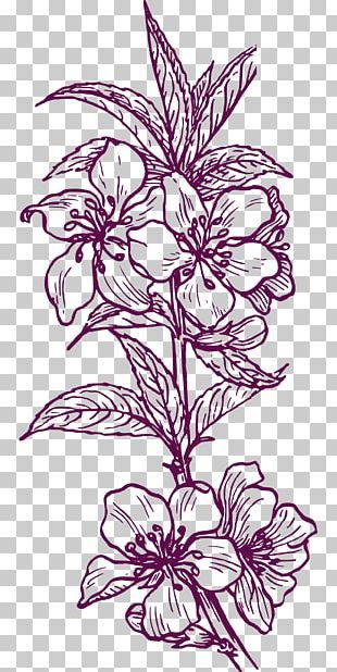 Myrtle Flower, Drawing Png, Adobe Illustrator Graphic Design, Botanical Flower Art, Abstract Graphic Design, Paisley Art, Textile Prints Design, Outline Drawing, Drawing Clipart