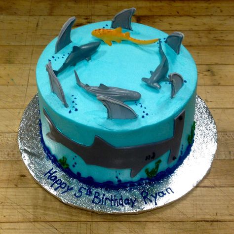 Shark Birthday cake, a fondant hammerhead and royal icing fins. Hammerhead Shark Birthday, Hammerhead Cake, Hammerhead Shark Cake, Diy Shark Cake, Shark Cupcake Cake, Shark Fin Cake, Shark Cakes For Kids Boys, Shark Cake Ideas, Whale Birthday Cake