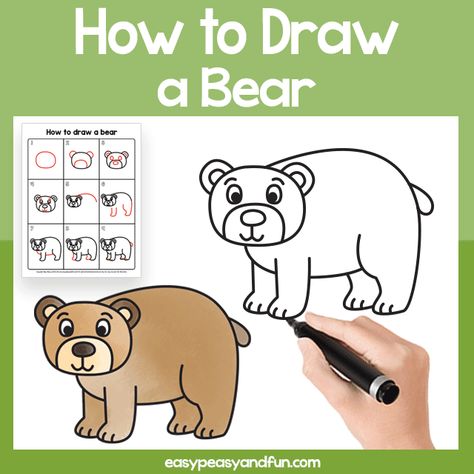 How to Draw a Bear – Step by Step Drawing Tutorial - Easy Peasy and Fun Draw A Bear, Spy Bag, Fall Drawings, Fall Arts And Crafts, How To Draw Steps, Directed Drawing, Bear Drawing, Marker Paper, Shapes Worksheets