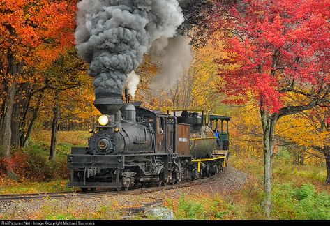 Shay #4, temporarily re-lettered for the Mower Lumber Company, rounds the curve at the bottom of the Whittaker S Curve during the 2014 Cass Photography Workshop hosted by Walter Scriptunas II and Clayton Spangler Monongahela National Forest, Virginia Fall, Scenic Train Rides, Steam Engine Trains, Scenic Railroads, Old Trains, Train Pictures, Vintage Train, Fall Travel