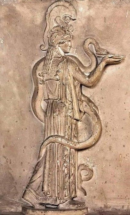 Roman relief sculpture of Minerva c. 100 AD Athena Symbol, Minerva Goddess, Art Through The Ages, Tree Statues, Pagan Gods, Ancient Goddesses, Alice And Wonderland Quotes, Roman Goddess, Athena Goddess