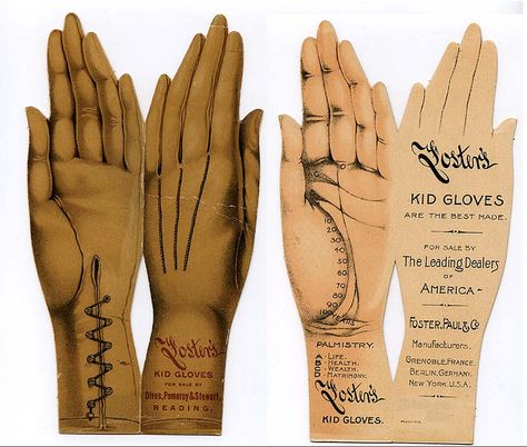 Show Of Hands, Kid Gloves, Vintage Gloves, Vintage Typography, Hand Art, Vintage Labels, Paper Ephemera, Vintage Ephemera, Vintage Ads